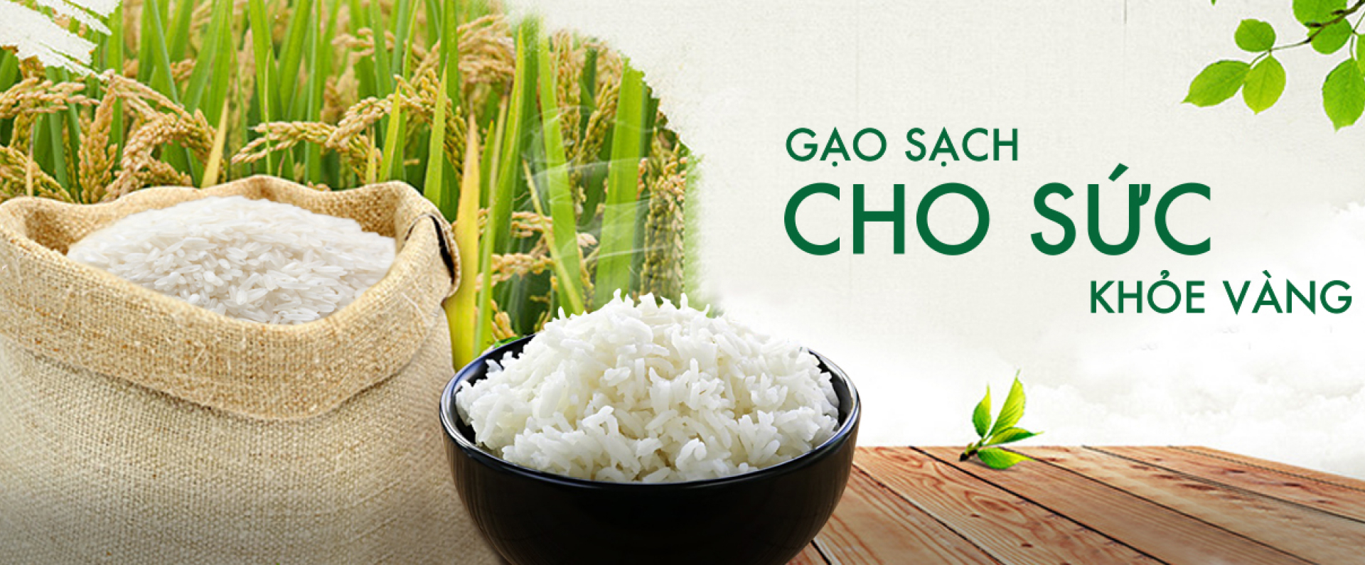 Công ty TNHH TM SX nông thủy sản công nghệ sinh học MiSun
