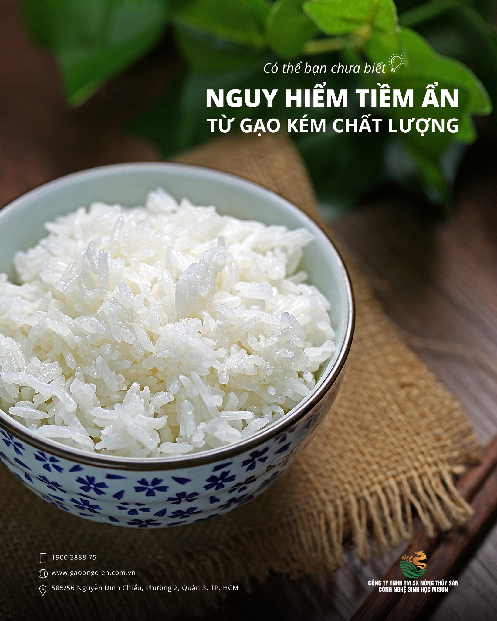 [Có thể bạn chưa biết] NGUY HIỂM TIỀM ẨN TỪ GẠO KÉM CHẤT LƯỢNG