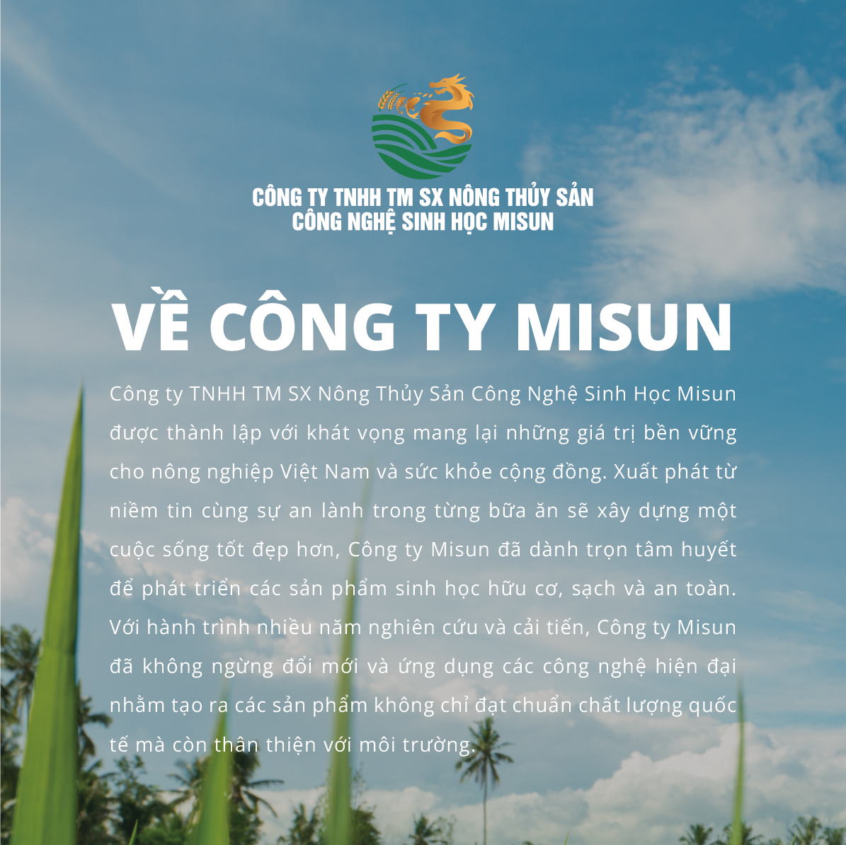 VỀ CÔNG TY MISUN – ĐƠN VỊ SẢN XUẤT GẠO ÔNG ĐIỀN