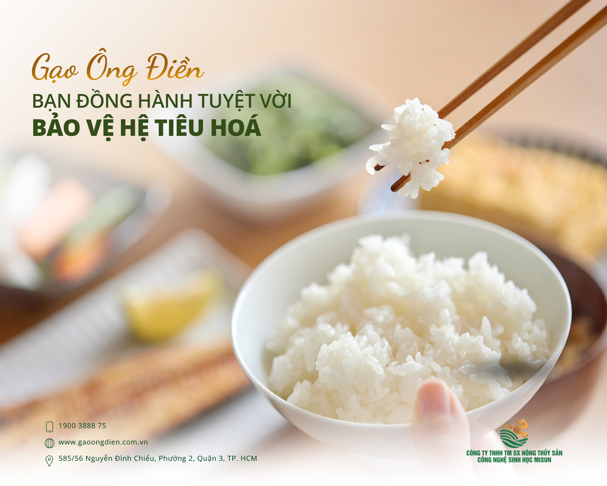 GẠO ÔNG ĐIỀN – BẠN ĐỒNG HÀNH TUYỆT VỜI BẢO VỆ HỆ TIÊU HÓA