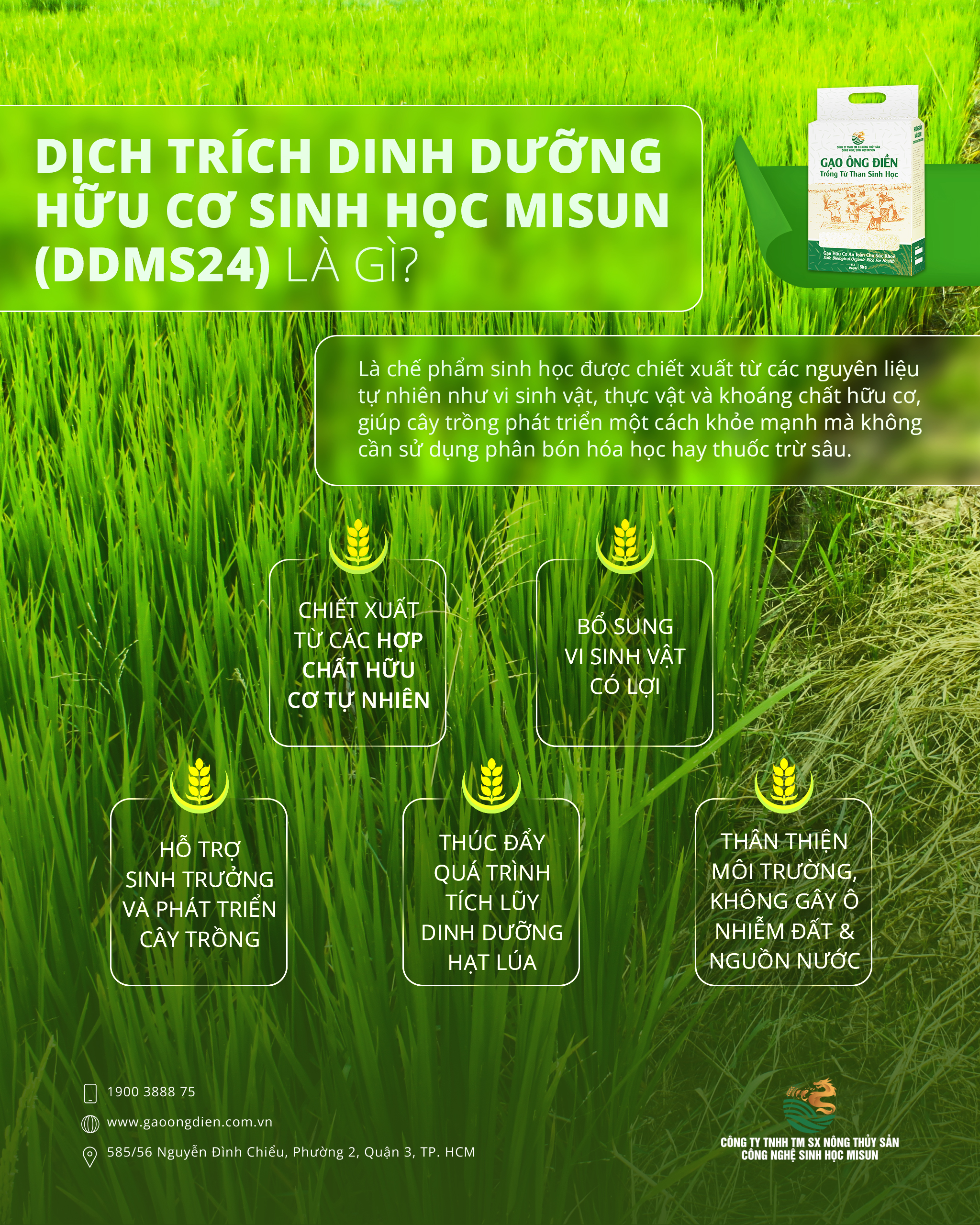 DỊCH TRÍCH DINH DƯỠNG HỮU CƠ SINH HỌC MISUN (DDMS24) LÀ GÌ?