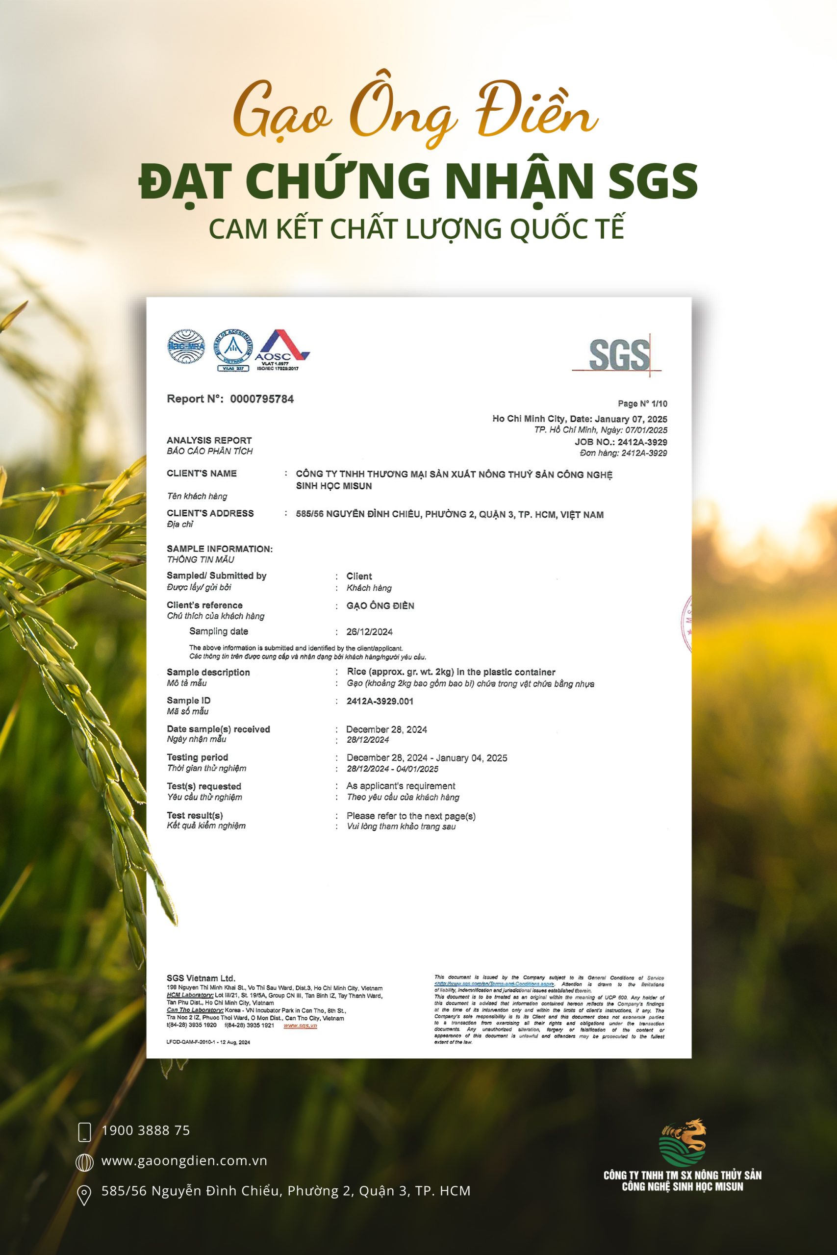 GẠO ÔNG ĐIỀN – ĐẠT CHỨNG NHẬN SGS, CAM KẾT CHẤT LƯỢNG CHUẨN QUỐC TẾ