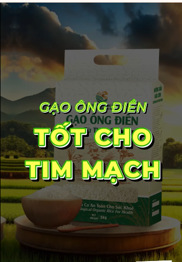 GẠO ÔNG ĐIỀN – GẠO TỐT CHO TIM MẠCH