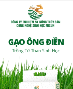 GẠO ÔNG ĐIỀN – BỮA CƠM AN LÀNH CHO MỌI GIA ĐÌNH