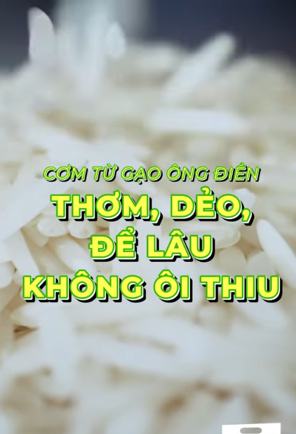 GẠO ÔNG ĐIỀN – ĐỂ 2 NGÀY VẪN DẺO NGON, KHÔNG ÔI THIU