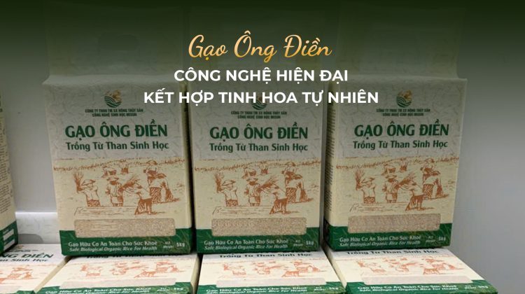GẠO ÔNG ĐIỀN – CÔNG NGHỆ HIỆN ĐẠI KẾT HỢP TINH HOA TỰ NHIÊN