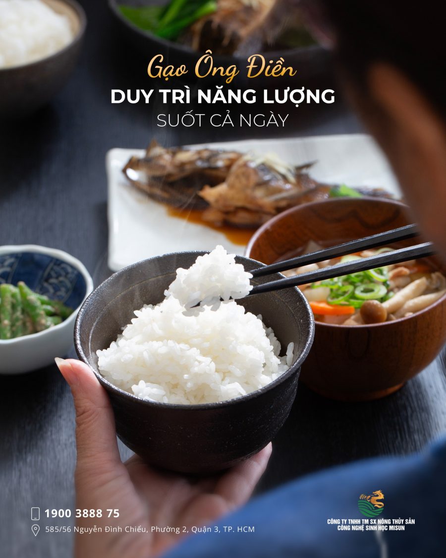 GẠO ÔNG ĐIỀN – GIÚP CƠ THỂ DUY TRÌ NĂNG LƯỢNG SUỐT CẢ NGÀY