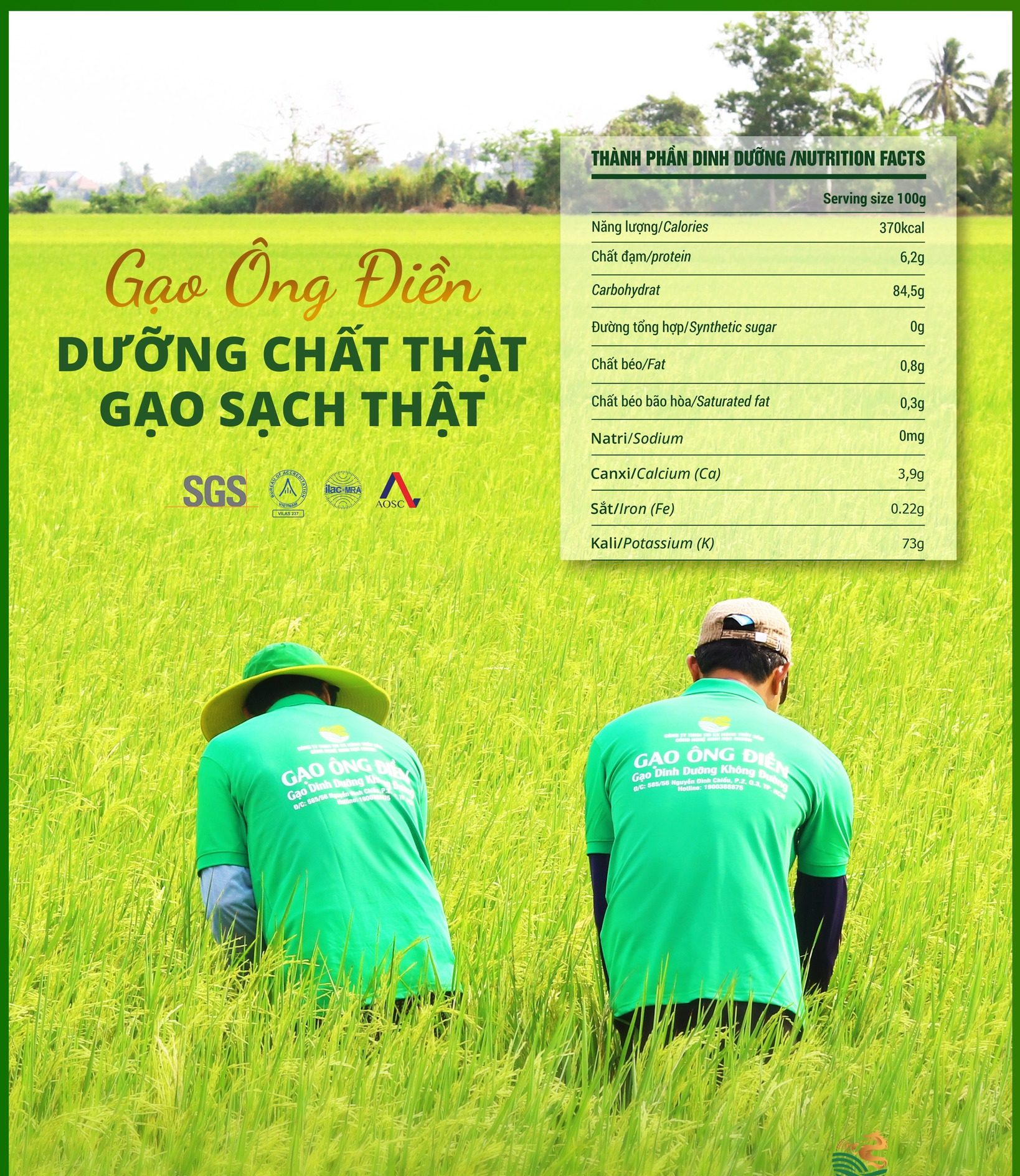 GẠO ÔNG ĐIỀN – DƯỠNG CHẤT THẬT, GẠO SẠCH THẬT