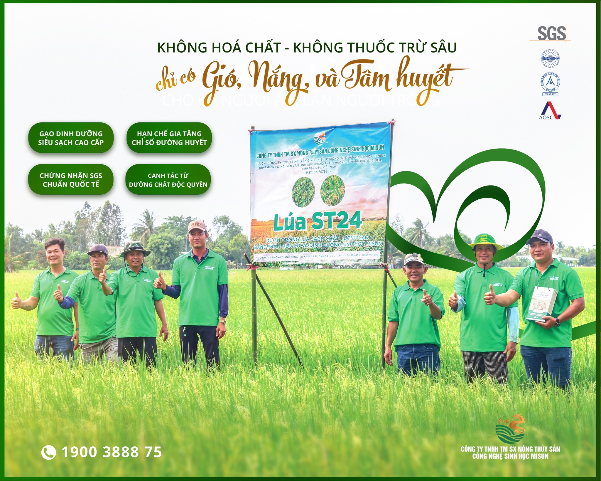 KHÔNG HÓA CHẤT, KHÔNG THUỐC TRỪ SÂU – CHỈ CÓ GIÓ, NẮNG VÀ TÂM HUYẾT