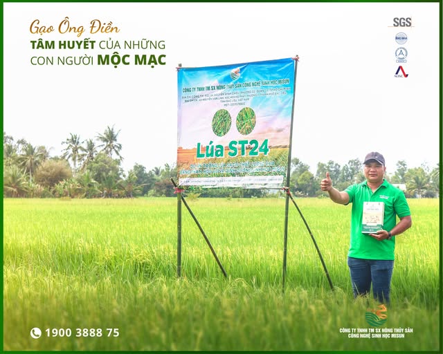 GẠO ÔNG ĐIỀN – TÂM HUYẾT CỦA NHỮNG CON NGƯỜI MỘC MẠC