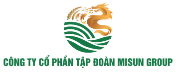 CÔNG TY CỔ PHẦN TẬP ĐOÀN MISUN GROUP